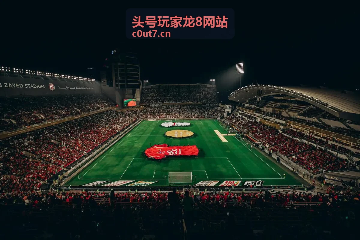 头号玩家龙8网站极速启动功能展示
